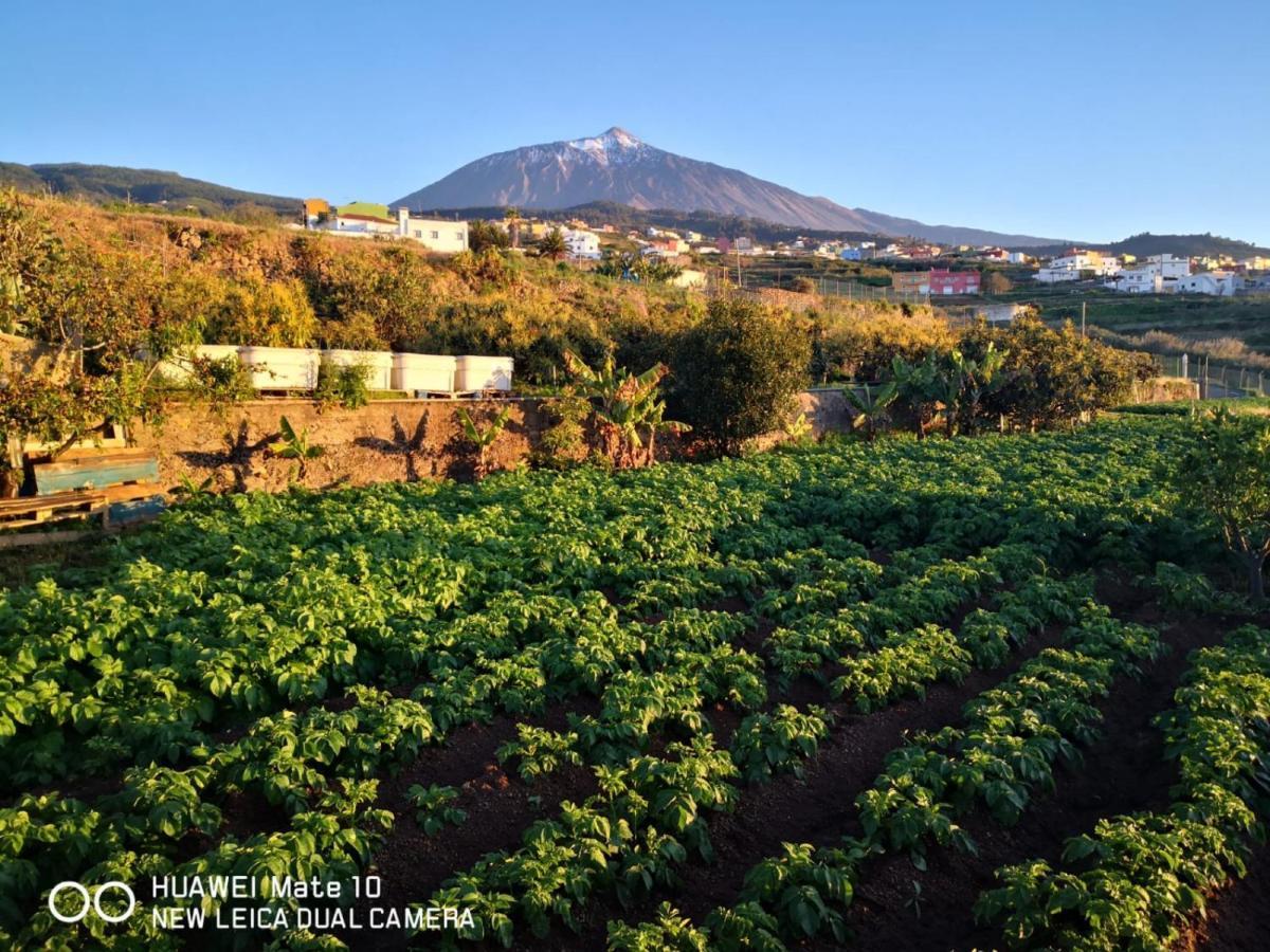 Finca Los Angeles San Juan de la Rambla Εξωτερικό φωτογραφία