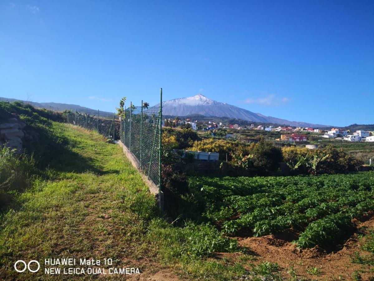 Finca Los Angeles San Juan de la Rambla Εξωτερικό φωτογραφία